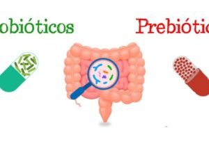 Pre y Probióticos