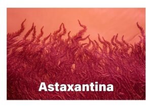 Astaxantina