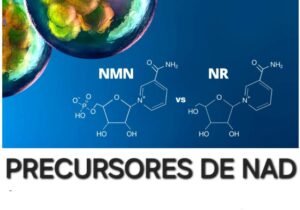 Precursores NAD